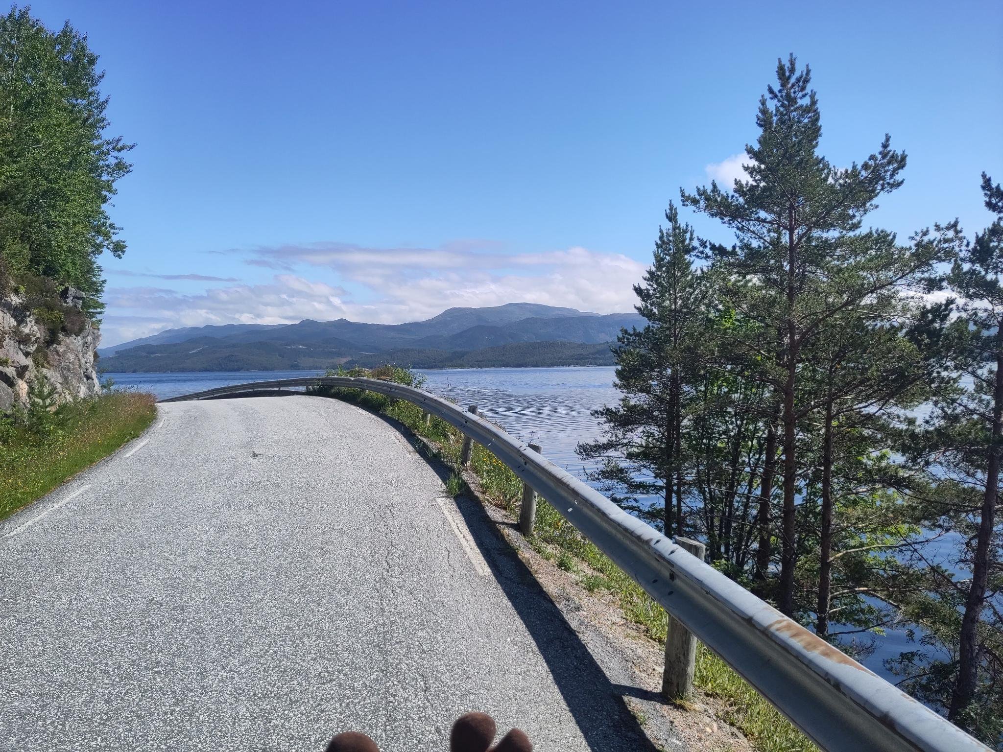 Straße an Fjord