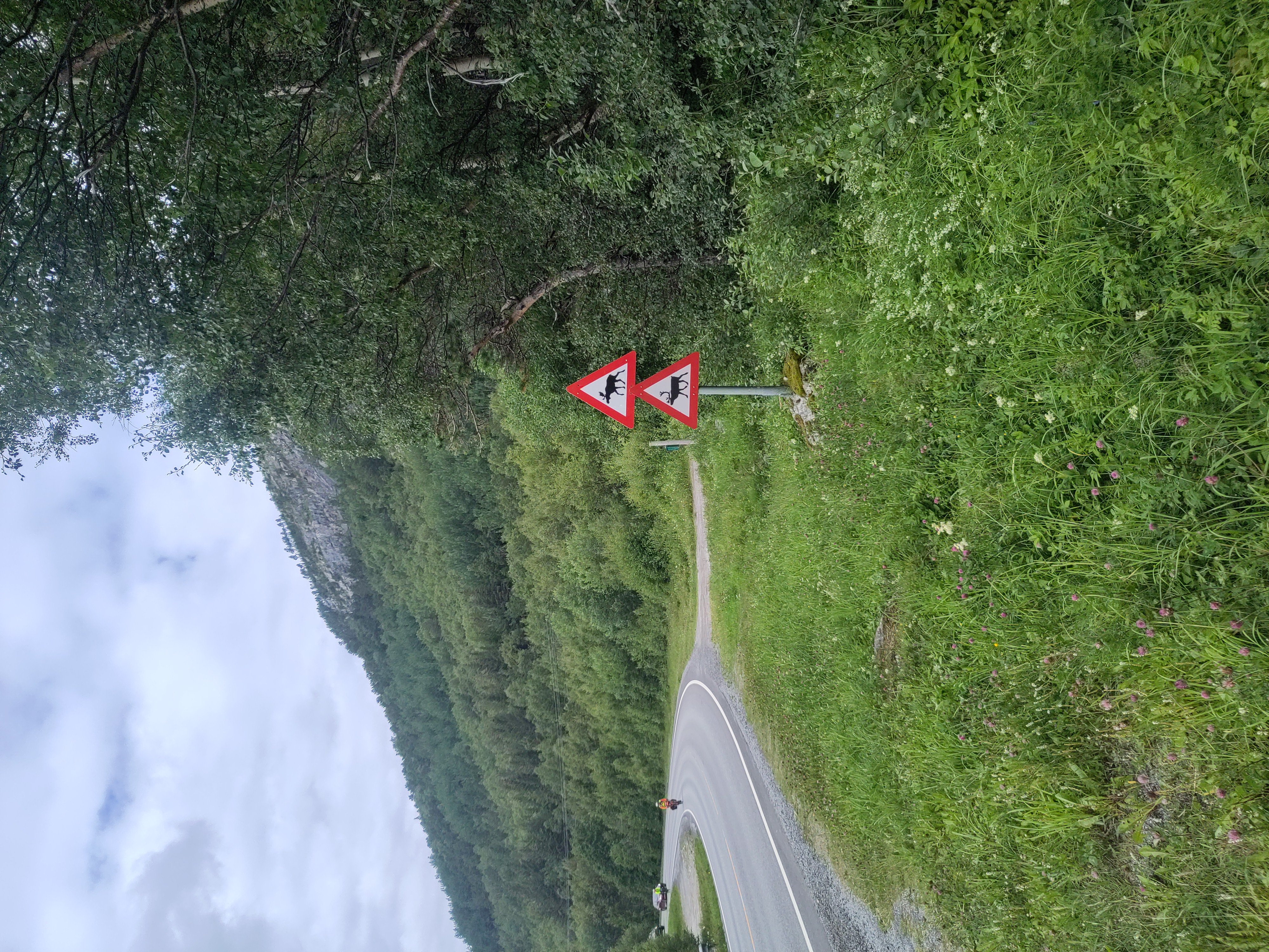 Elche und Rentiere auf Schild Elche und Rentiere auf Schild