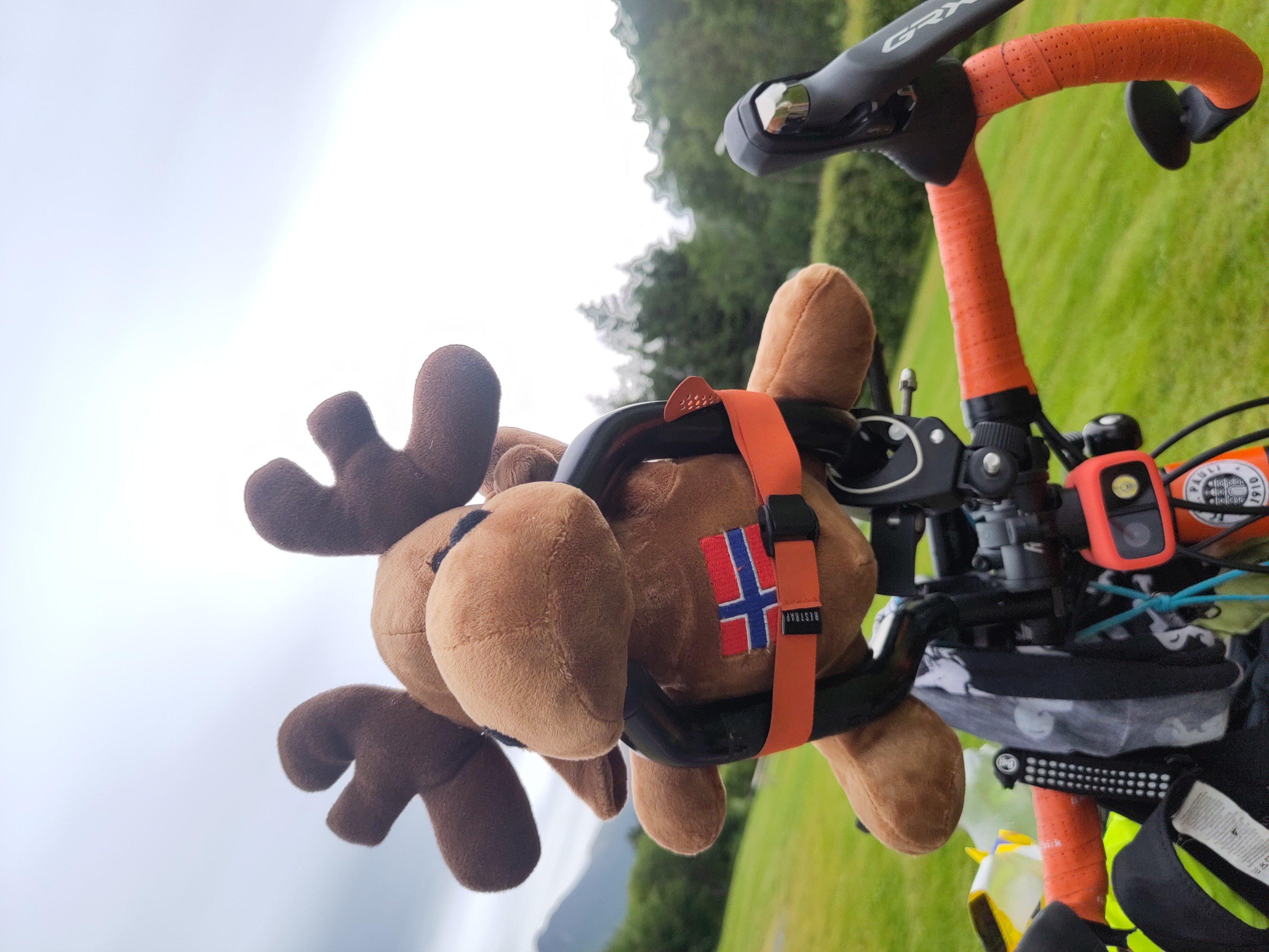 Stofftierelch an Fahrrad