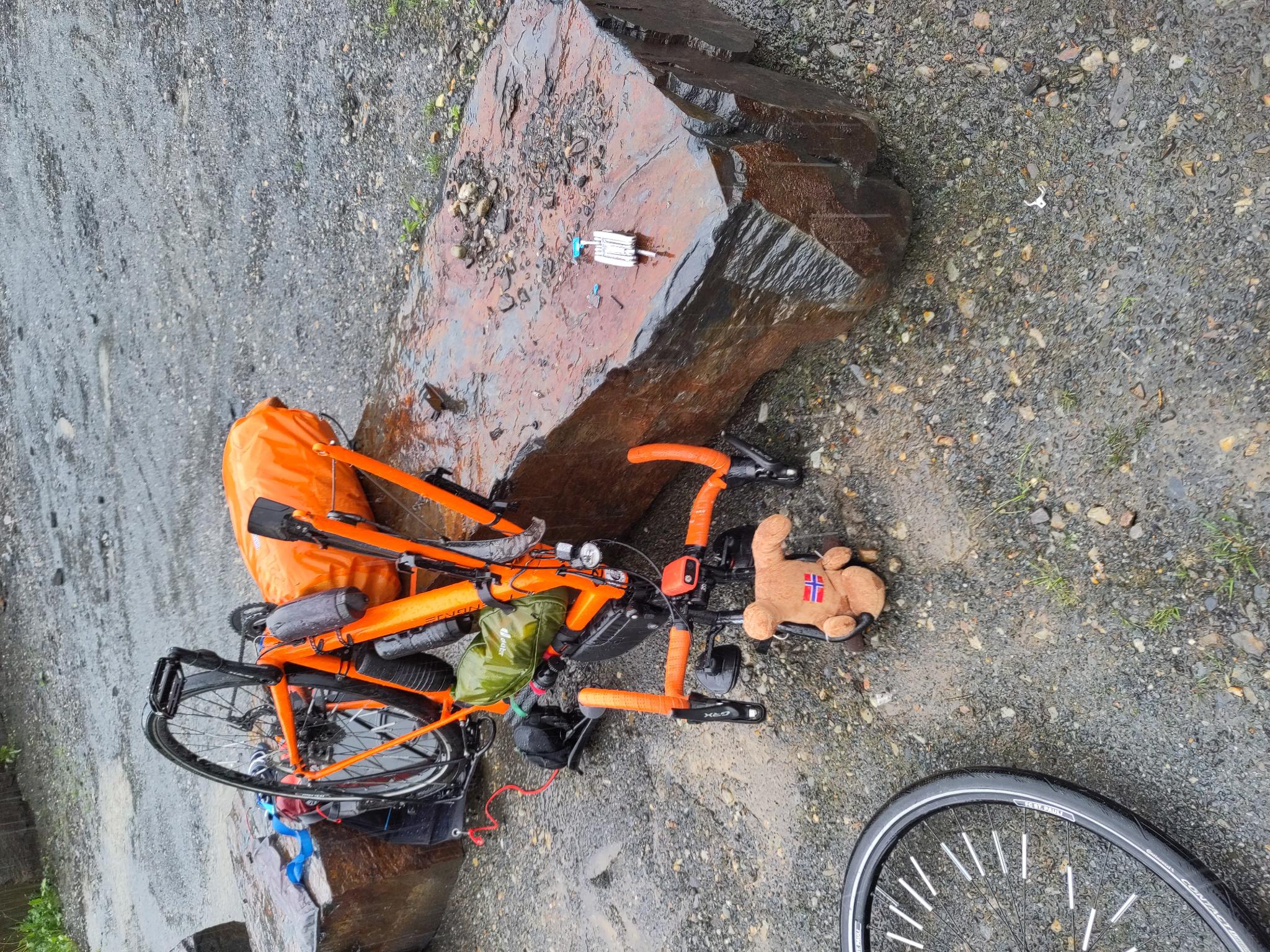 Zerlegtes Fahrrad im Regen