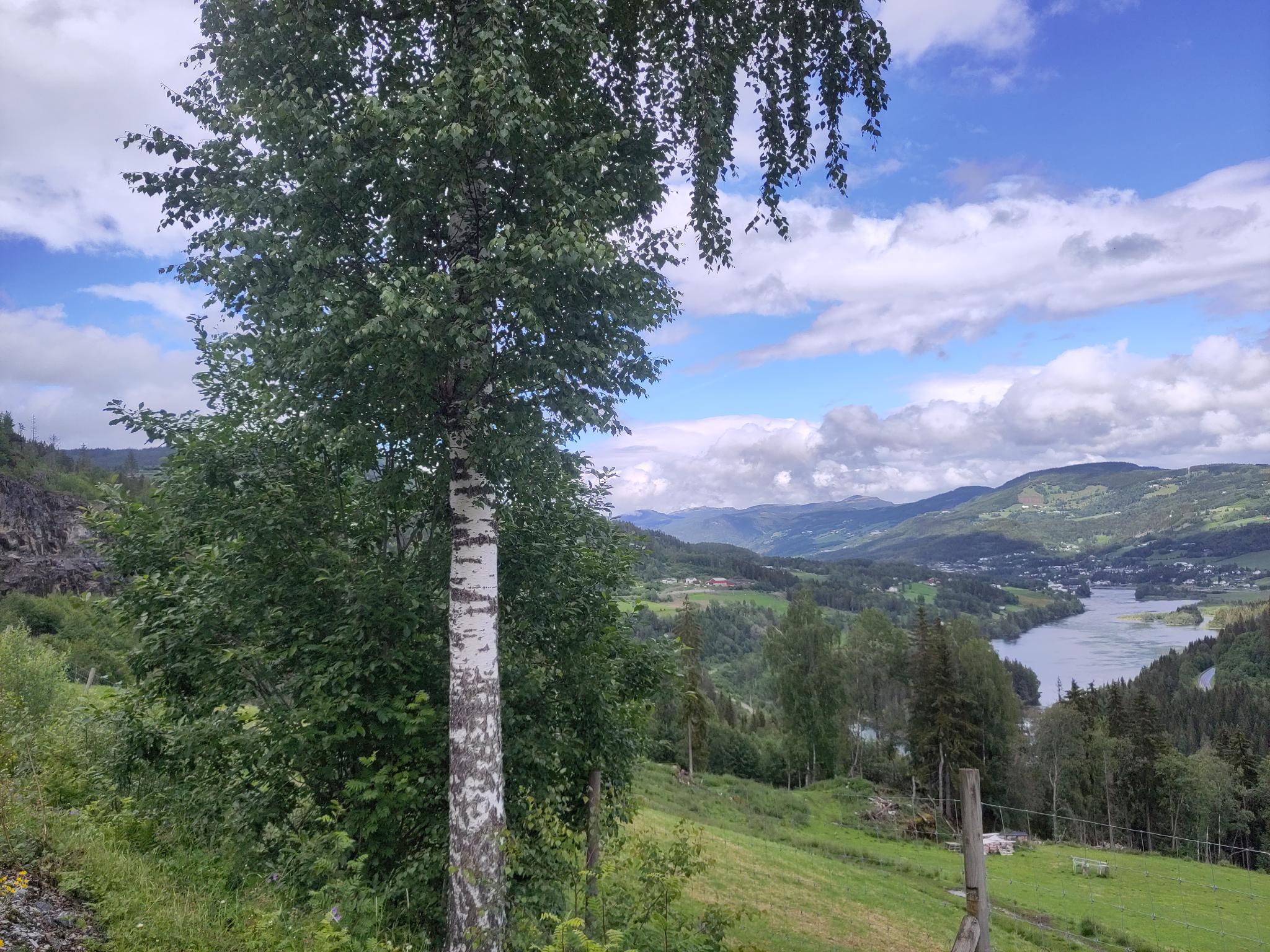 Blick ins Tal