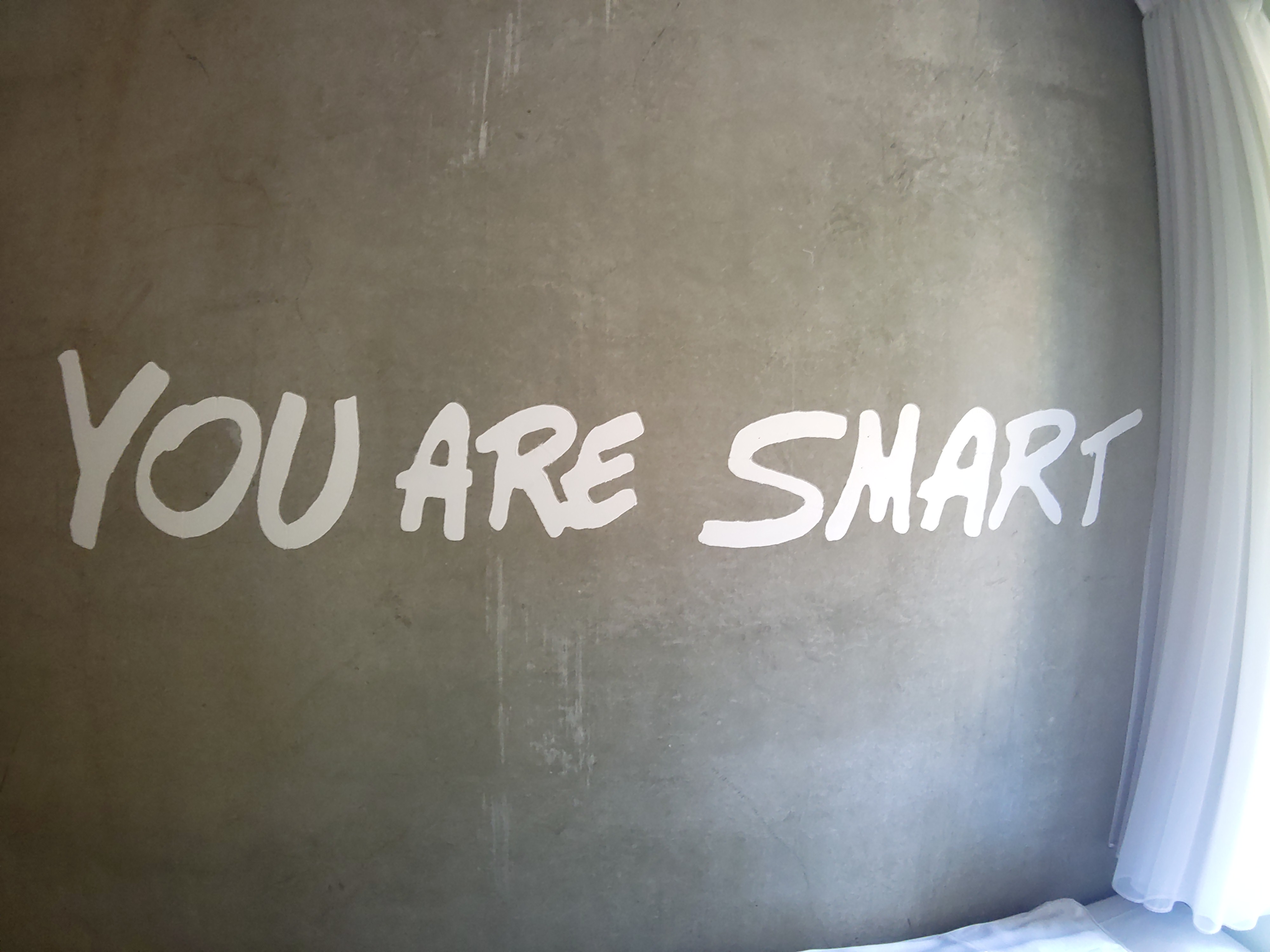 you are smart-schriftzug